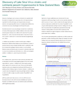 Discovery of Lake Sinai Virus strains and Lotmaria passim trypanosome in New Zealand Bees
