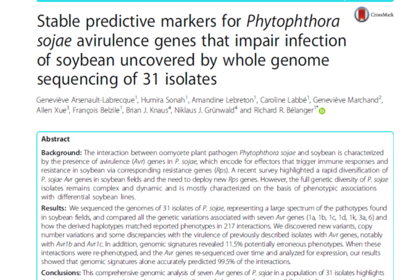 Canada & USA: Pathogenesis of Phytophthora sojae on soybean