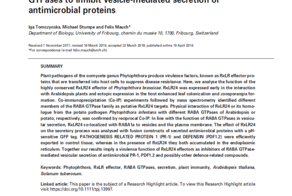 Switzerland: Effector molecules of pathogens prevent disease resistance in plants
