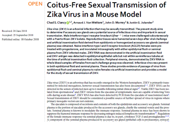 USA: Sexual transmission of Zika virus