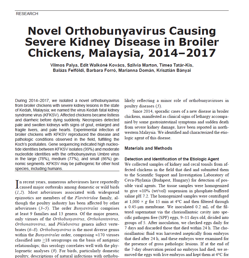 chickens in malaysia study