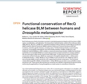 RecQ helicase Blooms yndrome