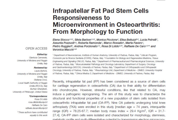 Italy: Infrapatellar Fat Pad stem cells exert incomplete protective activity from OA inflammation