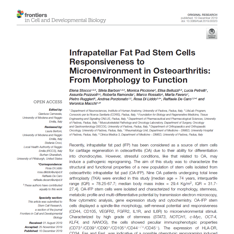 Fat Pad Stem Cells