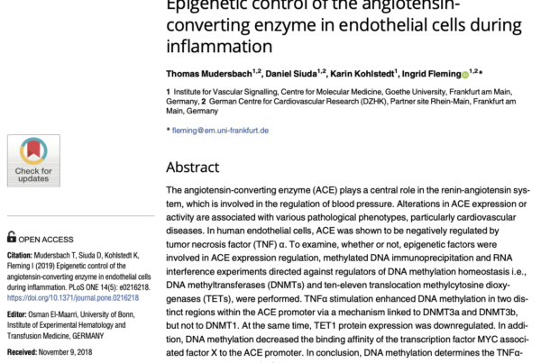 Germany: DNA methylation determines TNF- α dependent regulation of ACE expression in human endothelial cells