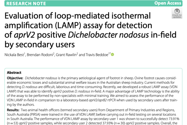 Australia: LAMP assay for detection of clinically virulent aprV2 Dichelobacter nodosus in-field