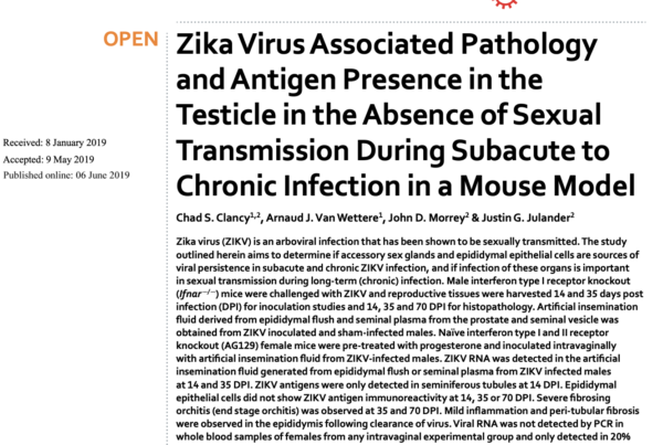 USA: Sexual transmission of Zika virus typically only occurs in acutely infected mice.