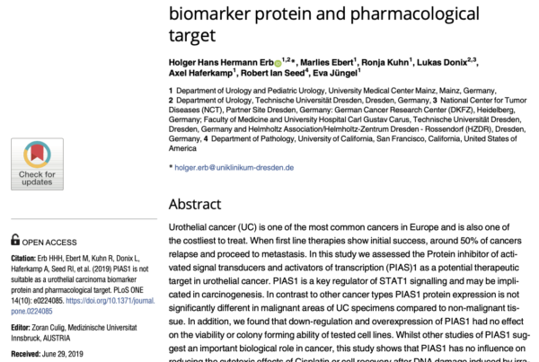 Germany & USA: PIAS1 is not suitable as a therapeutic agent for urothelial cancer