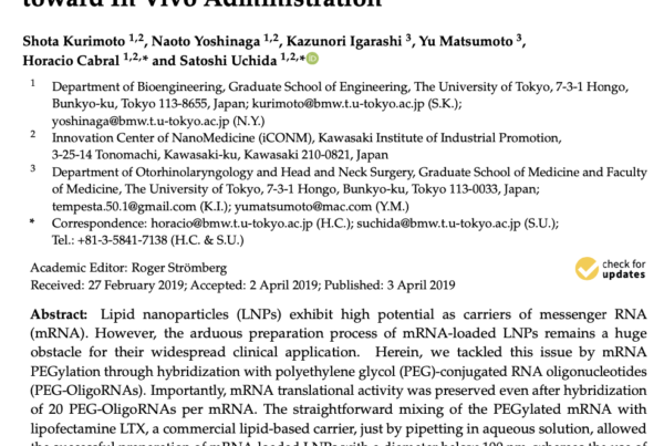 Japan: PEG-OligoRNA/mRNA complex stabilises Lipid Nanoparticles for In Vivo delivery