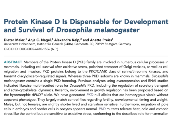 Germany: Protein Kinase D required for combatting oxidative stress and development in Drosophila melanogaster