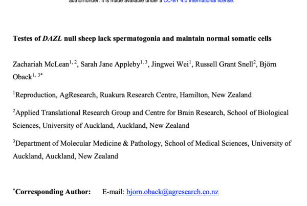 New Zealand: DAZL-null male sheep lack germ cells whilst maintaining normal somatic cells for accelerated genetic improvements in livestock
