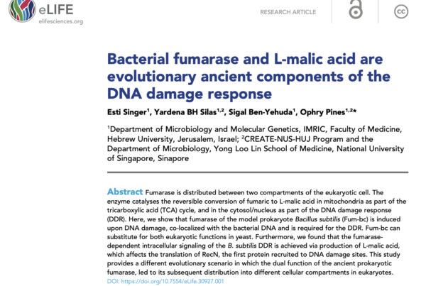 Israel & Singapore: Dual-targeted fumarase evolved before its dual location in eukaryotes