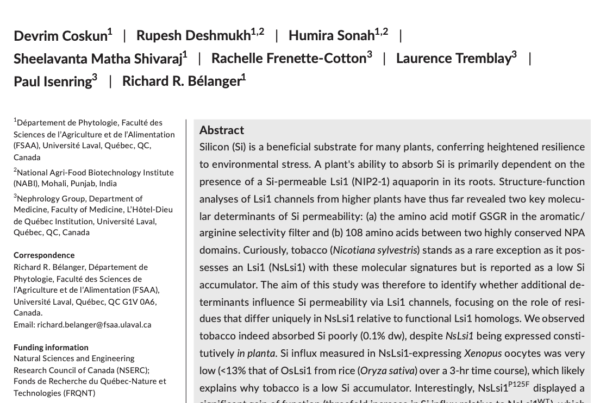 Canada & India: P125 residue reduces Si permeability in tobacco plants