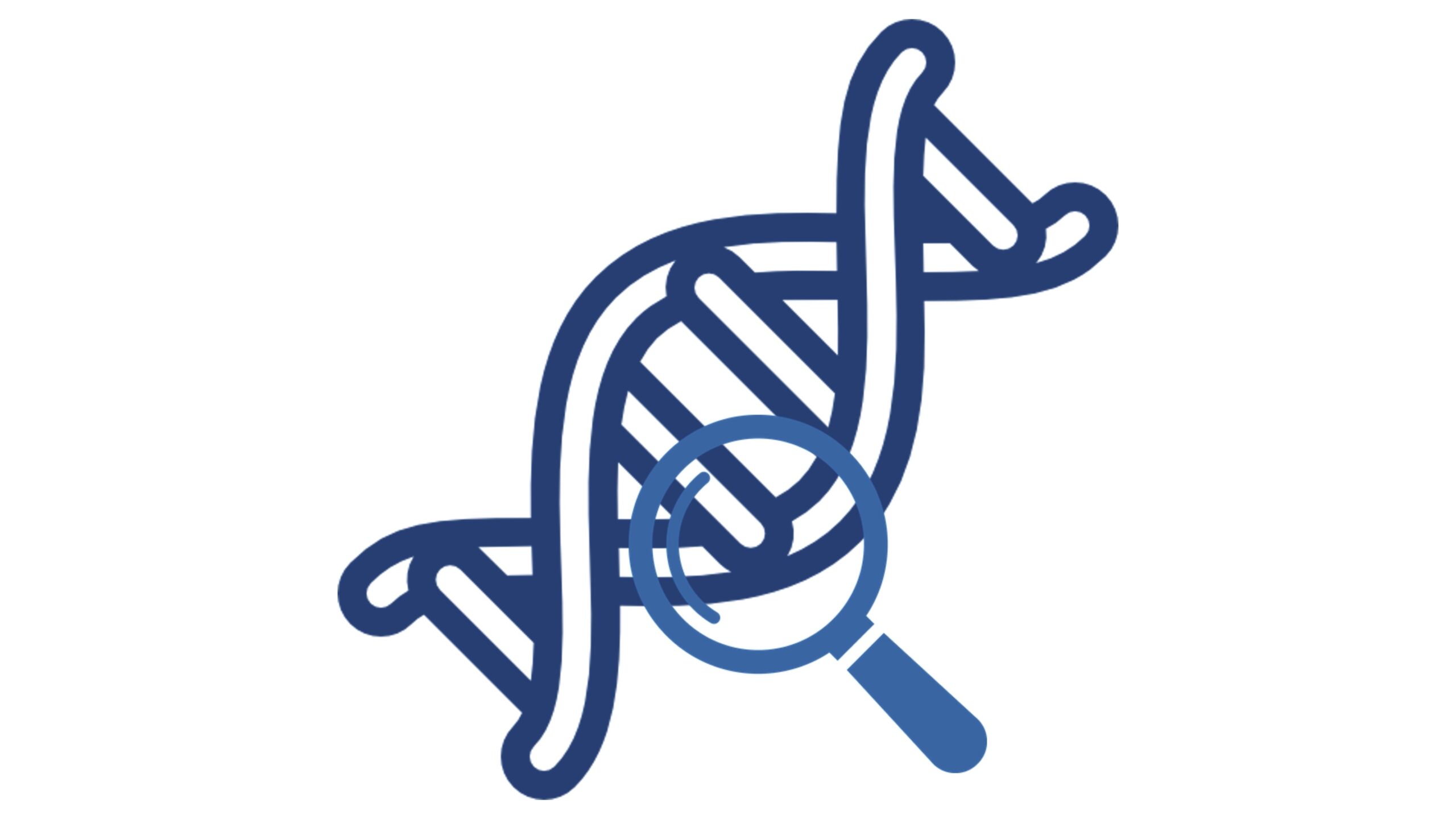 NEBNext Ultra II FS DNA Library Prep Kit for Illumina