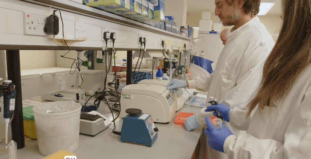 Combating Schistosomiasis with the Mic Real-Time PCR Cycler